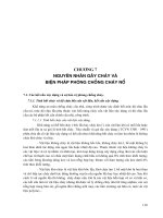 Kỹ thuật vệ sinh, an toàn lao động và phòng chữa cháy - Chương 7 pot