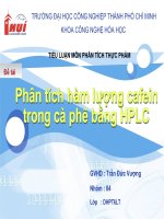 Tiểu luận 