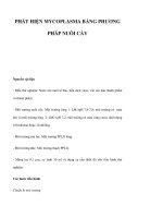 PHÁT HIỆN MYCOPLASMA BẰNG PHƯƠNG PHÁP NUÔI CẤY pps