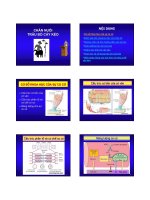 Chăn nuôi trâu bò cày kéo pdf