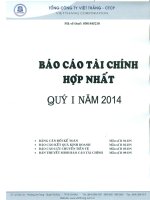 Tổng công ty việt thắng báo cáo tài chính hợp nhất quý 1 năm 2014