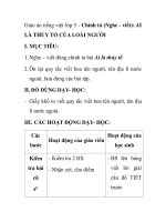 Giáo án tiếng việt lớp 5 - Chính tả (Nghe - viết): AI LÀ THỦY TỔ CỦA LOÀI NGƯỜI doc