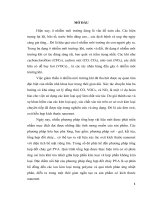 Nghiên cứu tổng hợp nano oxit hỗn hợp trên cơ sở niken và thăm dò khả năng xúc tác oxi hóa CO