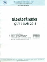 Tổng công ty việt thắng báo cáo tài chính quý 1 năm 2014