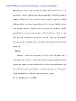 Kinh nghiệm thu hút FDI của các nước và vận dụng vào Việt Nam - 2 potx