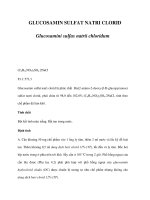 GLUCOSAMIN SULFAT NATRI CLORID potx