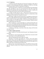 Các quá trình và thiết bị công nghệ sinh học : CƠ SỞ LÝ THUYẾT VỀ KỸ THUẬT VI SINH VẬT part 2 pps
