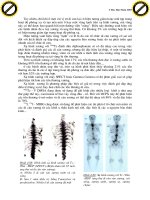 Giáo trình phân tích khối ưu tuyến thượng thận với phương pháp ghi hình phóng xạ p2 pps