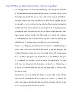 Vai trò định hướng nền kinh tế sau 1986 của nhà nước - 3 pdf