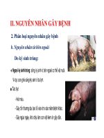 Giáo trình thú y cơ bản part 8 doc
