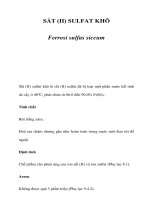 SẮT (II) SULFAT KHÔ ppt