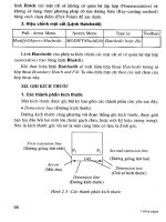 Giáo trình cơ sở CAD/CAM trong thiết kế và chế tạo phần 6 pot