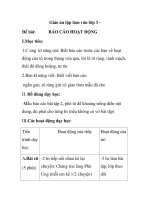 Giáo án tập làm văn lớp 3 - BÁO CÁO HOẠT ĐỘNG potx