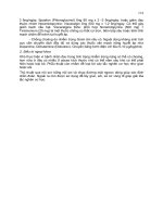 Bài giảng nội khoa : TIÊU HÓA part 8 ppt