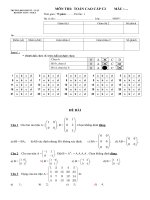 TRƯỜNG ĐH KINH TẾ - LUẬT BỘ MÔN TOÁN - TKKTMÔN THI: TOÁN CAO CẤP C2 pot