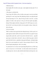 Lợi ích cơ cấu kinh tế nhiều thành phần đến sự phát triển kinh tế xã hội - 3 doc