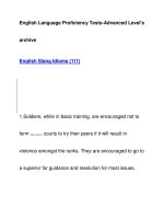 English Language Proficiency Tests-Advanced Level''''sarchiveEnglish Slang Idioms potx