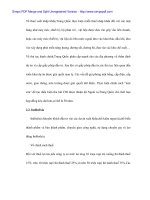 Kinh nghiệm thu hút FDI của các nước và vận dụng vào Việt Nam - 7 pps