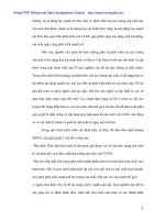 Đa dạng hóa loại hình sở hữu trong nền kinh tế Việt Nam - 2 ppsx