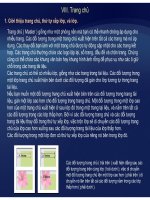 Tự học Indesign CS2 : Layout part 7 pdf