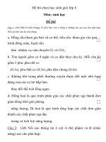 Đề thi chọn học sinh giỏi lớp 8 Môn: sinh học pot