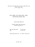 ﻿Cực tiểu của hàm lồi – lõm với ràng buộc lồi