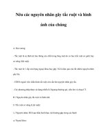 Nêu các nguyên nhân gây tắc ruột và hình ảnh của chúng pptx