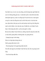 NÀNG BẠCH TUYẾT VÀ BẢY CHÚ LÙN pot