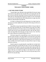 Khoá luận tốt nghiệp đại họcChương 1. Tổng quan về E-MANCHƯƠNG I TỔNG QUAN docx