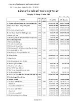 CÔNG TY cổ PHẦN phát triển nhà THỦ đức bảng cân đối kế toán hợp nhất báo cáo kết quả hoạt động kinh doanh chuyển lưu tiền tệ báo cáo tài chính hợp nhất 31 tháng 12 năm 2009 quý 4 năm 2009