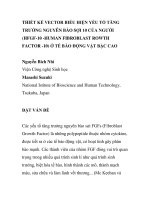 BÁO CÁO KHOA HỌC: 