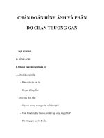 CHẨN ĐOÁN HÌNH ẢNH VÀ PHÂN ĐỘ CHẤN THƯƠNG GAN pdf