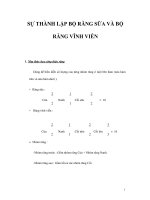 SỰ THÀNH LẬP BỘ RĂNG SỮA VÀ BỘ RĂNG VĨNH VIỄN pps