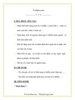 Giáo án chương trình mới: Lớp Chồi Ô nhiễm nước ppt