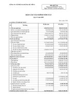 CÔNG TY cổ PHẦN XI MĂNG hà TIÊN 1 báo cáo tài CHÍNH tóm tắt quý IV năm 2009