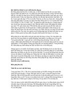 HỆ THỐNG PHÁP LUẬT LIÊN BANG HOA KỲ ppsx