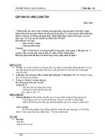 GÃY HAI XƯƠNG CẲNG TAY potx