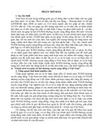 tóm tắt  chính sách an sinh xã hội với người nông dân sau khi thu hồi đất để phát triển các khu công nghiệp (nghiên cứu tại tỉnh bắc ninh)