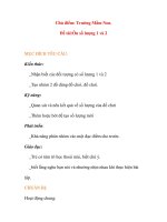 Giáo án chương trình đổi mới Đề tài:Ôn số lượng 1 và 2 ppt