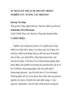 BÁO CÁO KHOA HỌC: 