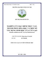 tóm tắt nghiên cứu đặc điểm thực vật, thành phần hoá học và một số tác dụng sinh học của cây gạo