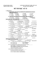 ĐỀ THI HỌC KỲ II - TRƯỜNG THPT MỸ QUÝ pps