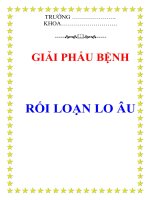 RỐI LOẠN LO ÂU ppsx