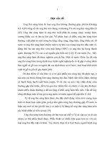 Nghiên cứu đặc điểm lâm sàng, chẩn đoán hình ảnh và mô bệnh học của ung thư sàng hàm