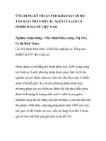 BÁO CÁO KHOA HỌC: 