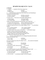ĐỀ KIỂM TRA HỌC KỲ II – Test 16 pdf