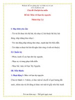 Giáo án chương trình mới: Lớp lá Đề tài: Múa với bạn tây nguyên docx