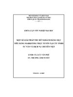 Luận văn Một số giải pháp thu hút khách hàng mục tiêu bằng marketing trực tuyến tại công ty TNHH Tư vấn và dịch vụ chuyên Việt