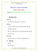 Giáo án chương trình đổi mới Đề tài: NÉM XA BẰNG MỘT TAY – BẬT XA docx