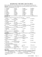 ĐỀ KIỂM TRA 1 TIẾT MÔN: ANH VĂN LỚP 12 ppt